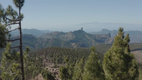 Wunderschöne-Drohnenaufnahme-Eines-Bergpanoramas-Mit-Wald-Vom-Pico-De-Las-Nieves-Bis-Zum-Roque-Nublo,-Gran-Canaria