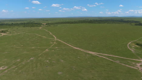 Aerial-of-African-savannah-during-sunny-day-in-Serengeti