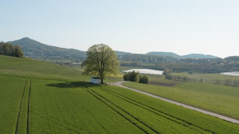 Drone---Aerial-panorama-shot-of-al-lonely-chapel-on-a-field-with-grass-and-a-road-with-panorama-of-the-seven-mountains---Siebengebirge-30p