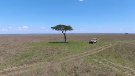 Safari-drone-shot-of-people-and-4x4-vehicle-near-acacia-tree-in-Serengeti