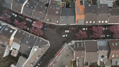 Drohne---Luftbild-Von-Oben-Auf-Die-Kirschblüte-In-Der-Stadt-Bonn-Kirschblüte-In-Der-Heerstraße-Breite-Straße-Bonn-Tourismus-30p