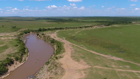 Aerial-of-hippopotamus-in-african-river-in-Serengeti