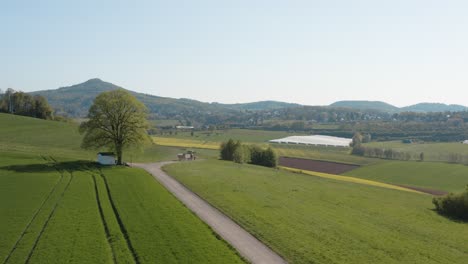Drone---Aerial-panorama-shot-of-al-lonely-chapel-on-a-field-with-grass-and-a-road-with-an-tractor-and-a-panorama-of-the-seven-mountains---Siebengebirge-25p