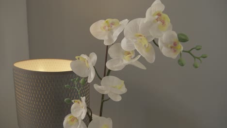 Orchideenblüte-In-Einer-Modernen-Villa-In-Spanien