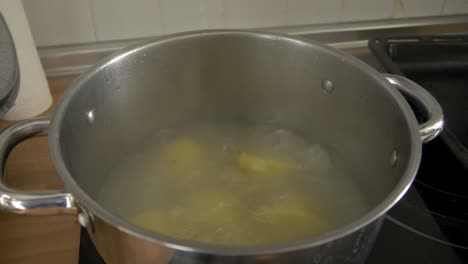 Öffnen-Sie-Den-Deckel-Eines-Topfes-Mit-Kochenden-Kartoffeln