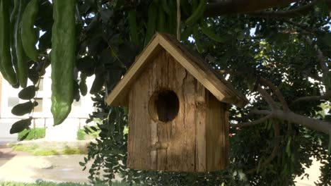 Vogelhaus,-Das-In-Einem-Baum-Hängt