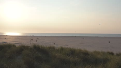 Cinematic-drone---aerial-shot-of-the-green-and-sandy-nature-beach-at-sunset-with-tourists-and-people-with-Buggykiting-at-Zeeland-at-the-north-sea,-Netherlands,-25p
