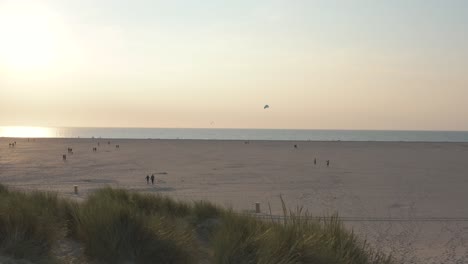 Cinematic-drone---aerial-shot-of-the-green-and-sandy-nature-beach-with-tourists-and-people-with-Buggykiting-at-Zeeland-at-the-north-sea,-Netherlands,-30p