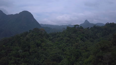 Flying-over-trees-and-mountains-in-the-jungle-in-dark-weather