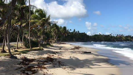 rolling-crashing-waves-on-a-sandy-shore-with-coconut-trees