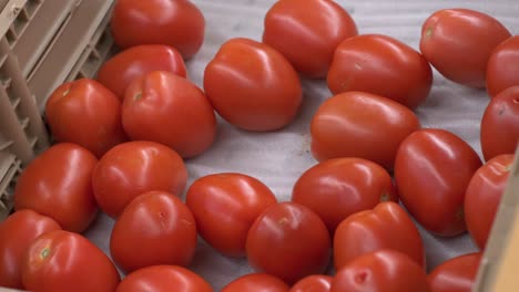 Beautiful-ripened-tomatoes-in-the-supermarket-being-grabbed-and-picked-by-a-hand