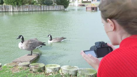 Young-Woman-Points-a-camera-at-a-goose