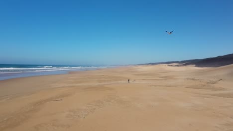 Fliegen-Neben-Einem-Vogel-über-Sanddünen-An-Der-Küste-In-Südafrika