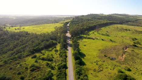 Aerial-shot-of-road-and-rural-farmland-near-Port-Elizabeth,-South-Africa