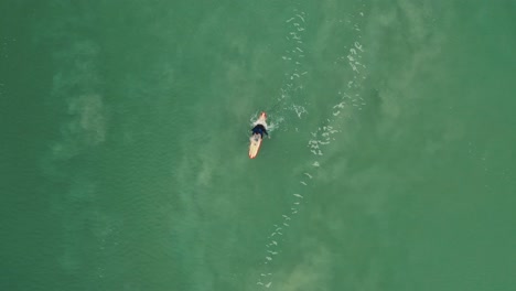 Aerial-view-of-surfer-trying-to-catch-a-wave