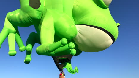 Frog-balloon-lifting-off,-hot-air-balloon