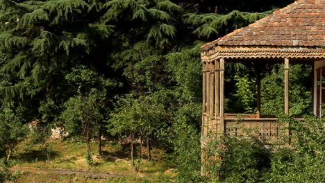 Yuriy-Gyumri,-Armenia---Old-Abandoned-House-In-The-Forest-Full-Of-Plants-And-Trees---Wide-Shot