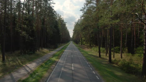 Flying-over-forest-road-in-Poland-on-a-sunny-day