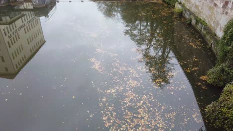 Braune-Blätter-Schwimmen-Langsam-In-Einem-Fluss,-Reflexionen-Eines-Gebäudes-Und-Von-Bäumen-Sind-Sichtbar,-Ruhige-Kameraposition