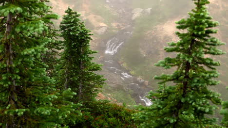 Dolly-Right-Pine-Tree-Tops-with-Small-Waterfall-in-Background-on-Mist-Day
