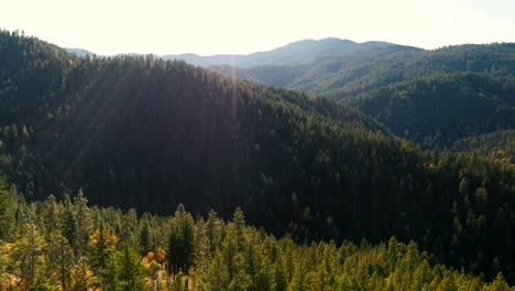Aerial-view-of-the-Siskiyou-Mountains-and-pine-forest-in-Southern-Oregon