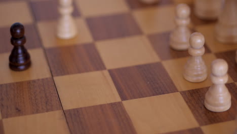 Yuriy-Chess-pieces