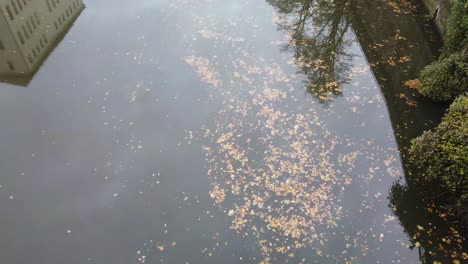 Brown-leaves-are-slowly-floating-in-a-river,-reflections-of-a-buildung-and-trees-are-visible,-slow-camere-tilt-upwards