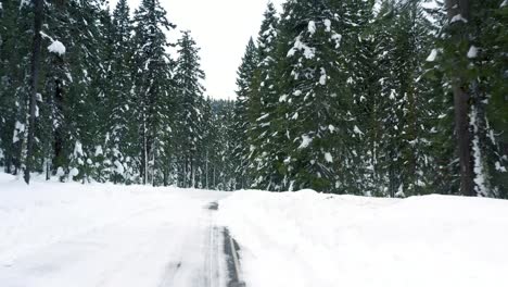 Luftaufnahme-Der-Schneebedeckten-Straße-Im-Winter