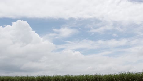Zeitraffer-Von-Wolken,-Die-Sich-über-Das-Grüne-Gras-Bewegen