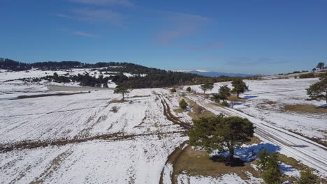 Drone-shot-of-snowy-footpath-surrounded-by-pine-trees-near-lake-in-winter