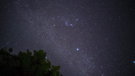 Die-Milchstraße-Zieht-In-Einem-Wunderschönen-Zeitraffer-Des-Nachthimmels-In-Tansania-Mit-Bäumen-Vorbei
