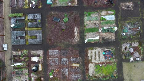 Aerial-view-of-community-garden-plots-in-the-winter