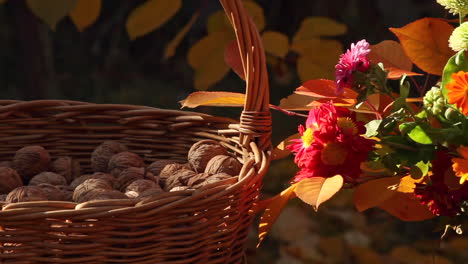 Wicker-basket-with-walnuts-next-to-flowers-outside-on-table