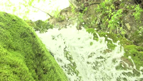 Slow-motion-shot-of-a-waterfall-with-moss-and-water-drops,-Wasserfall-Dreimühlen,-Eifel