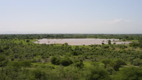 Atemberaubende-Afrikanische-Ebenen-Mit-Freigelegtem-Wasserloch,-Manyara-Ranch-Conservancy-Tansania