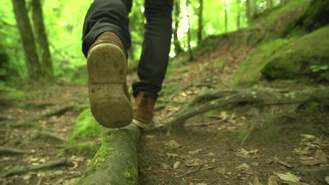 Close-to-ground-slow-motion-shot-of-a-man,-walking-over-roots-in-a-green,-nature-forest