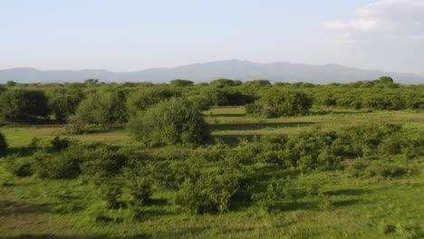 Establecedor-De-Llanuras-Africanas-Con-árboles-De-Hierba-Y-Montañas-En-La-Impresionante-Conservación-Del-Rancho-Manyara