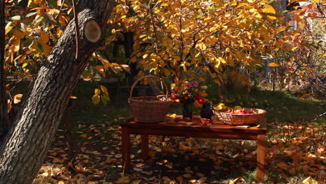 Blick-Auf-Den-Gartentisch-Mit-Körben-Mit-Walnüssen-Und-Roten-Granatäpfeln-Während-Der-Herbsternte