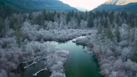 Aerial-of-Frosty-Forest-around-a-River-Moving-Down