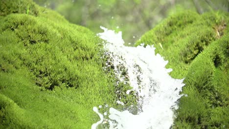 Slow-motion-shot-of-a-waterfall-with-moss-and-water-drops,-Wasserfall-Dreimühlen,-Eifel
