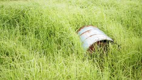 Old-rusty-barrel-surrounded-by-long-green-grass-blowing-in-the-wind