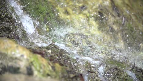 Close-up-slow-motion-shot-of-a-waterfall-with-spashing-drops,-25p,-Wasserfall-Dreimühlen,-Eifel