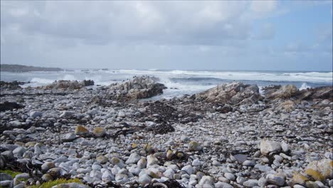seagulls-fly-over-coast,-ocean-waves-crash-onto-rocky-coastline