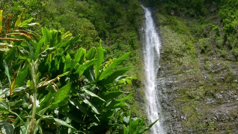 Amazing-high-waterfall-from-hidden-spot