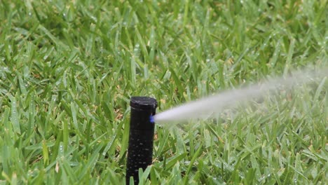 Grass-sprinkler-moving-and-throwing-water