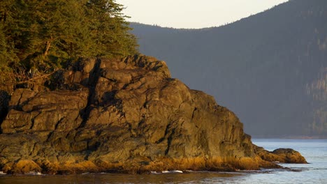 Shoreline-within-Great-Bear-Rainforest,-during-golden-sunrise