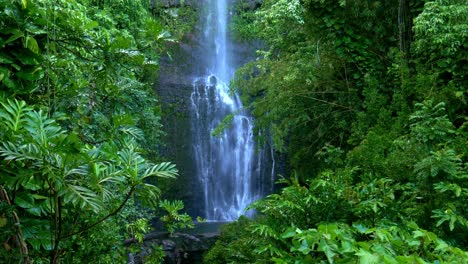 Beautiful-waterfall-in-rainforest-setting