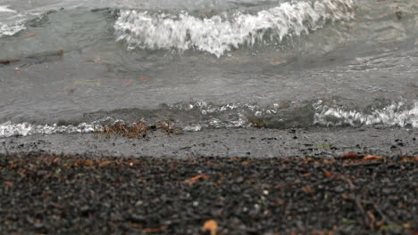 Waves-Splashing-On-The-Rocky-Shore-In-Lake-Crescent,-Washington,-USA---close-up-shot