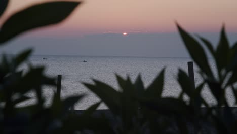 Sunrise-ocean-horizon,-close-up-plants-in-foreground,-balcony-POV,-Almeria,-Spain
