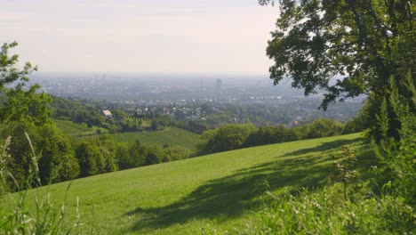 Vienna-city-view-during-beautiful-summer-day